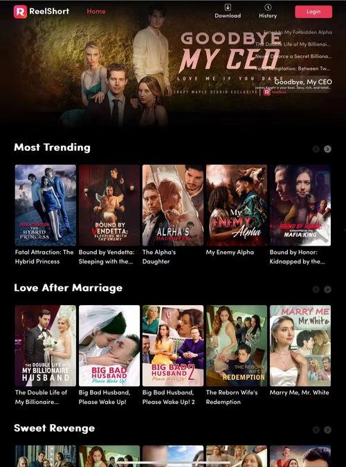 亚洲网站在线观看视频中文字幕,字幕加持，畅享中文观影体验