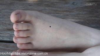 亚洲美脚视频,探寻东方足部艺术的独特魅力