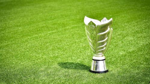 96亚洲杯 视频,激情燃烧的足球盛宴